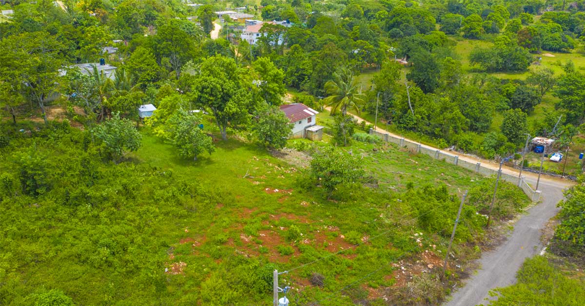 Affordable Land For Sale In St Ann Jamaica Make It Yours